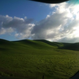 Cali Hill