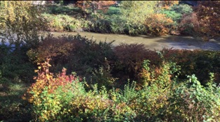 Granite Falls Drought