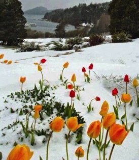Early Spring